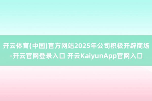 开云体育(中国)官方网站2025年公司积极开辟商场-开云官网登录入口 开云KaiyunApp官网入口